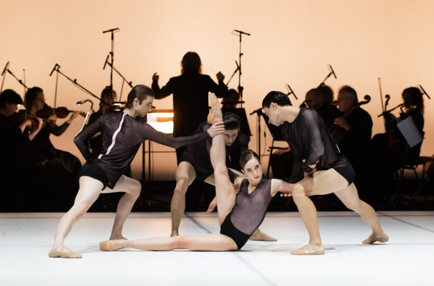  Klaipėdos valstybinis muzikinis teatras rudenį pasitinka su šokio premjera „Formos“